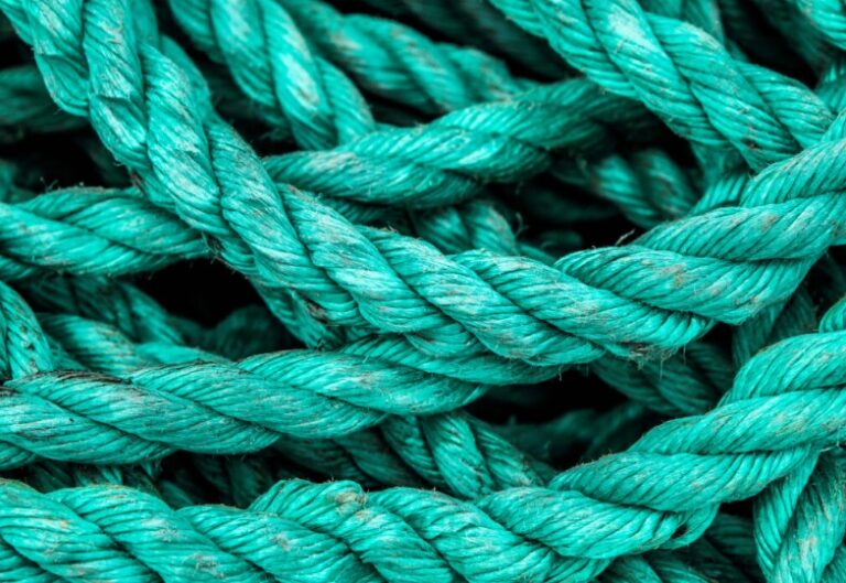 Trumps neue Fischereiregel bedroht Ozean: Schutzgebiete im Pazifik in Gefahr Trumps neue Fischereiregel bedroht Ozean: Schutzgebiete im Pazifik in Gefahr